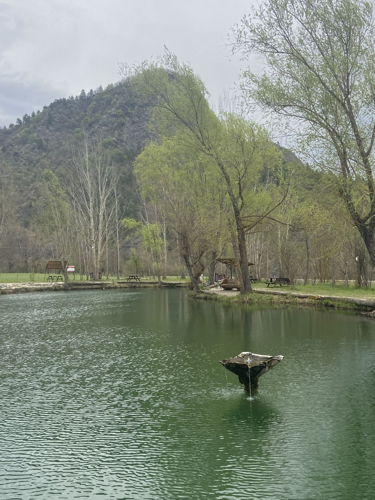 L'île au milieu du lac de pêche au printemps