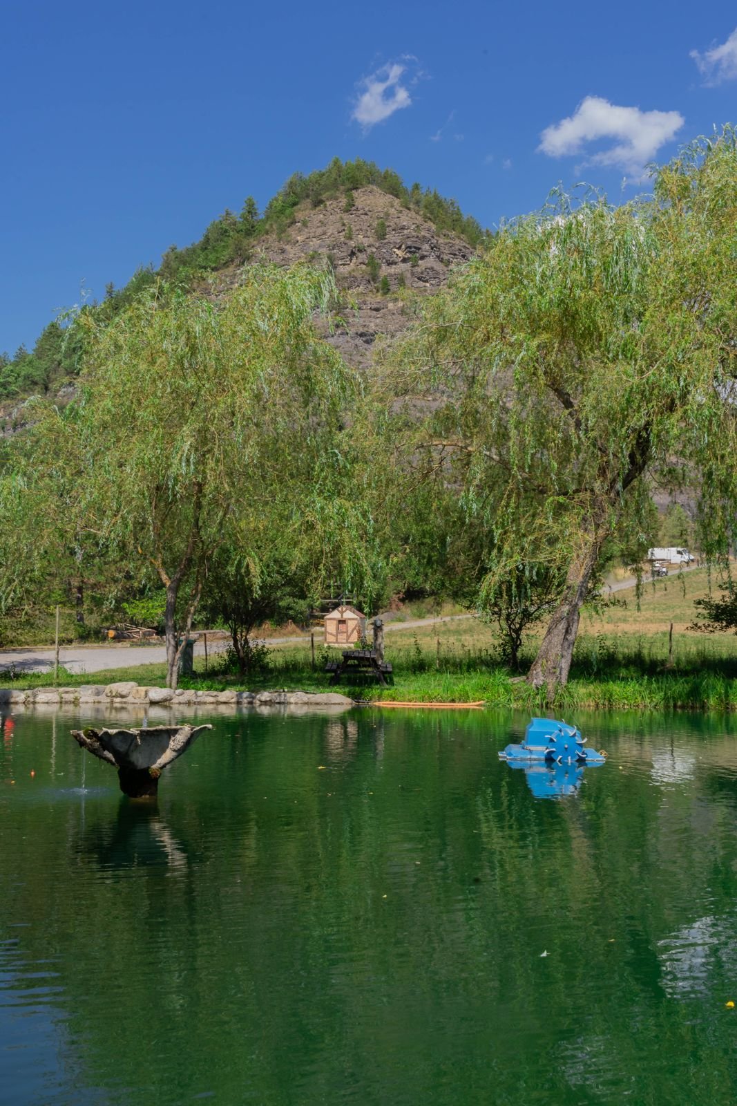 Les saules et la montagne au-dessus du lac de pêche à la truite